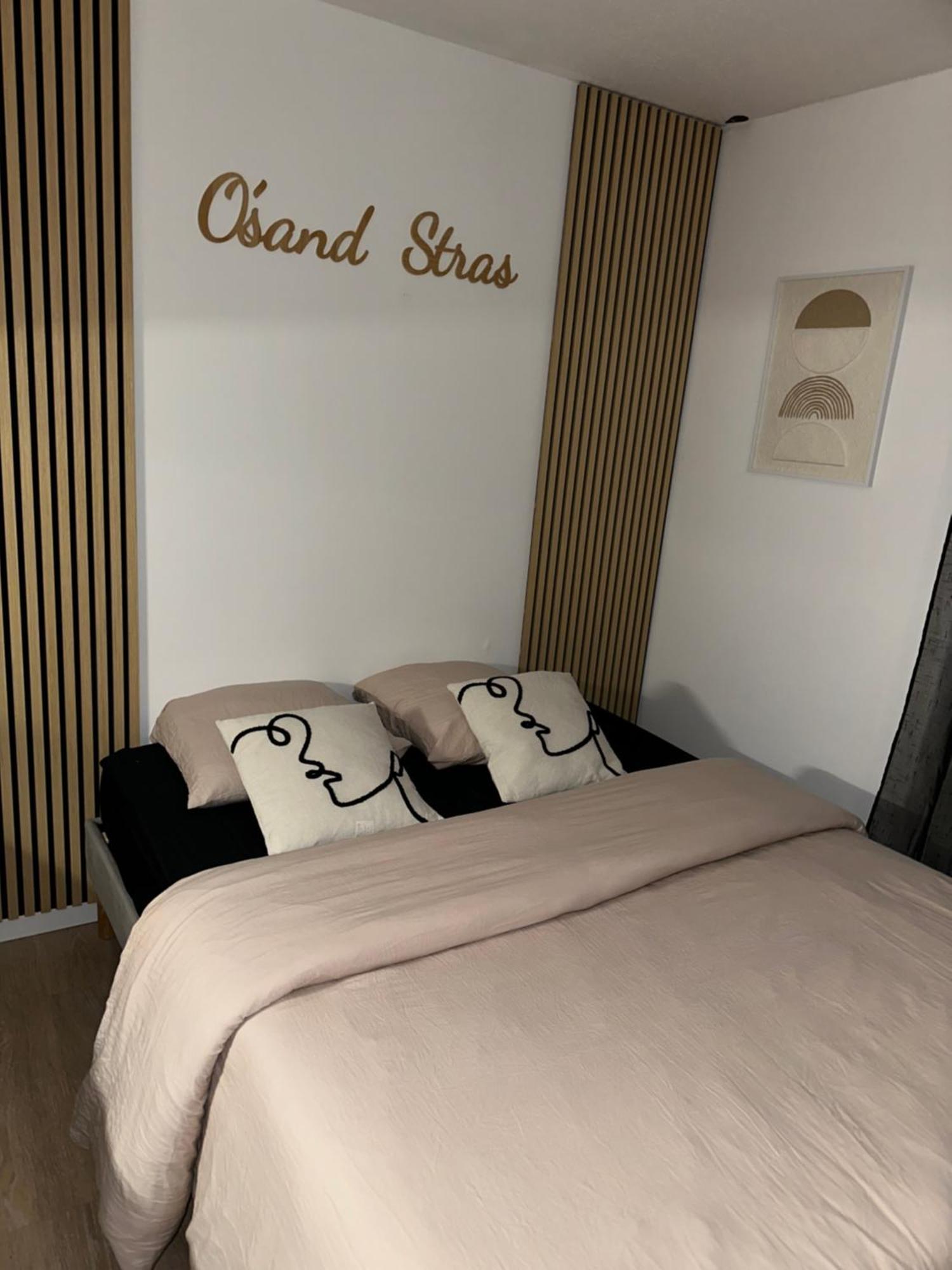 O Sand Stras Studio 25M Carre Strasbourg Bagian luar foto