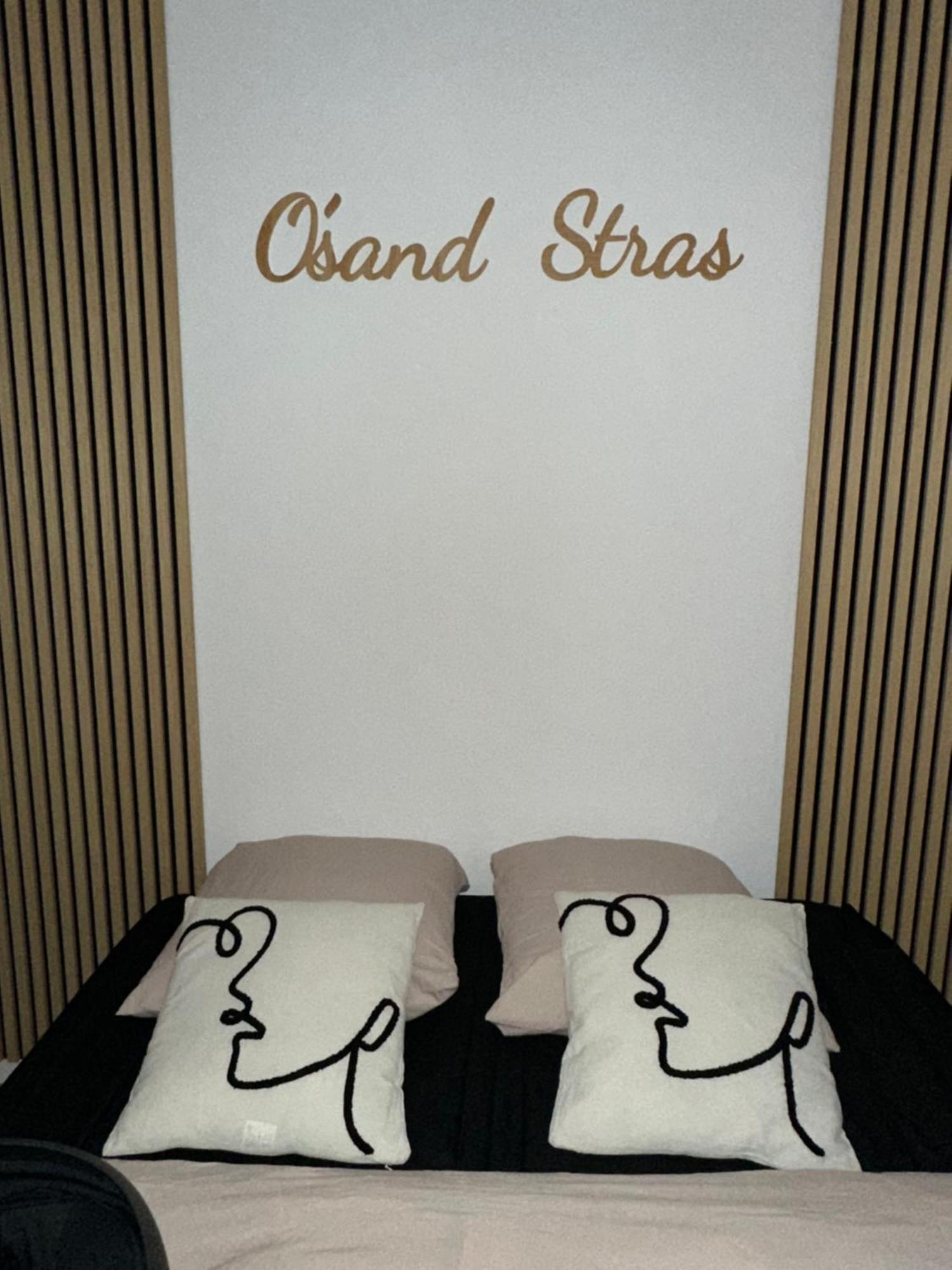 O Sand Stras Studio 25M Carre Strasbourg Bagian luar foto